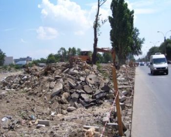 barbuvacarescu21.jpg