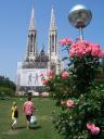 viena7.jpg