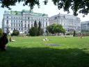 viena8.jpg